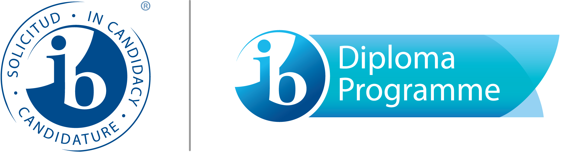 IB Diploma Programme